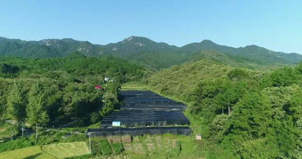 康道生物（南通）有限公司